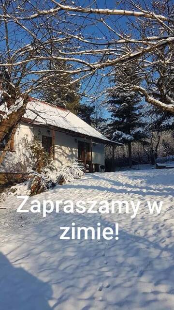 Фотографии Лоджи Ranczo Rozwój Relaks Dziki Sad г. Raciechowice (Польша) №2 Фото Лоджи Ranczo Rozwój Relaks Dziki Sad г. Raciechowice 2